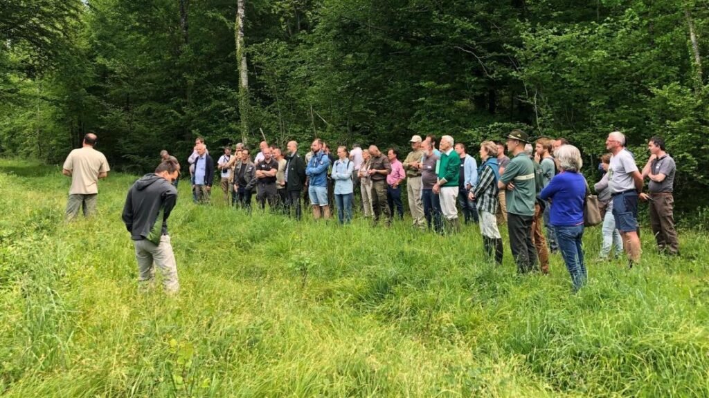 Visite de site