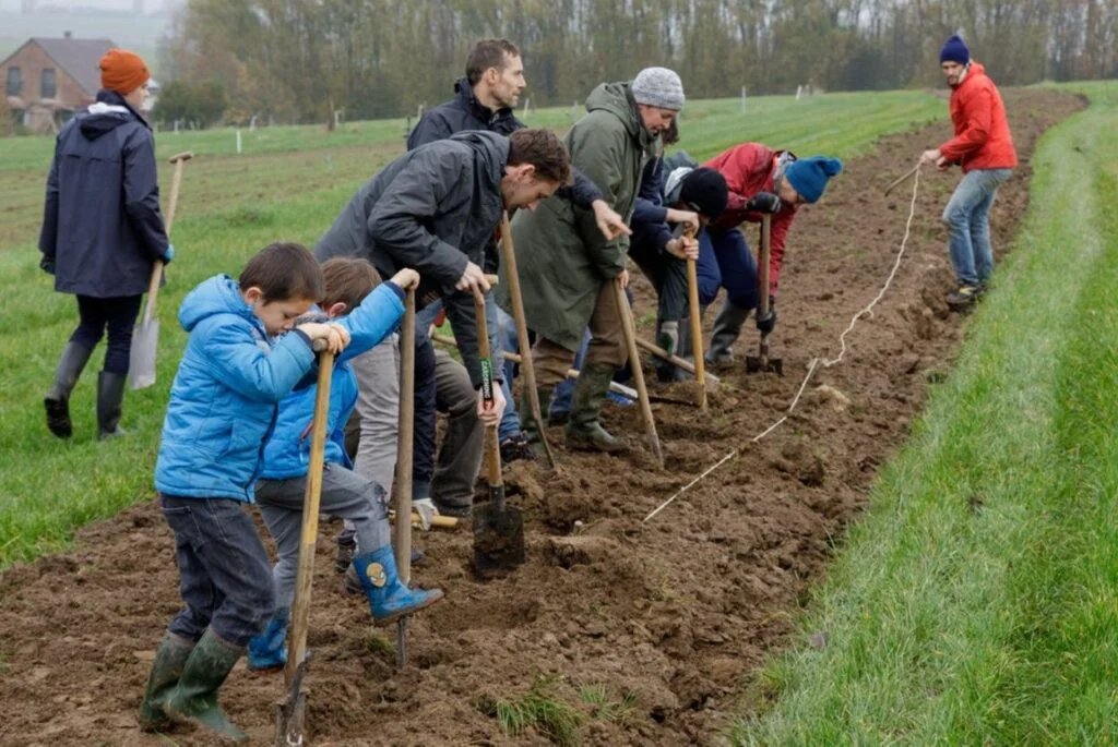 Plantation