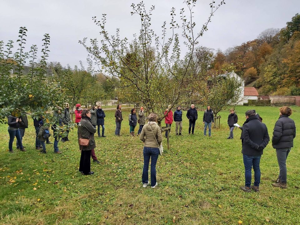 Marche du temps profond