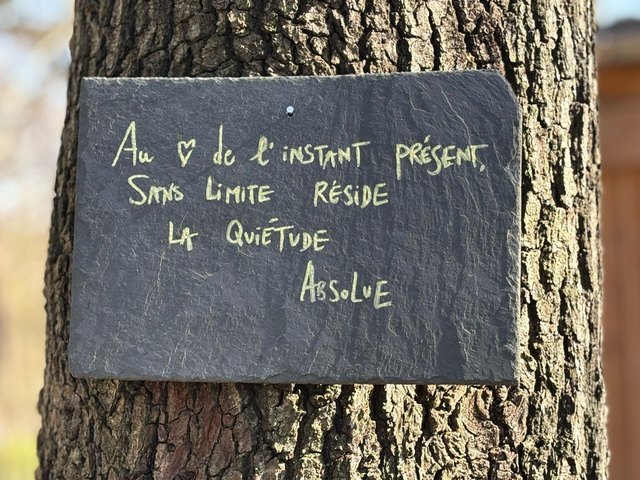 Méditation de pleine conscience