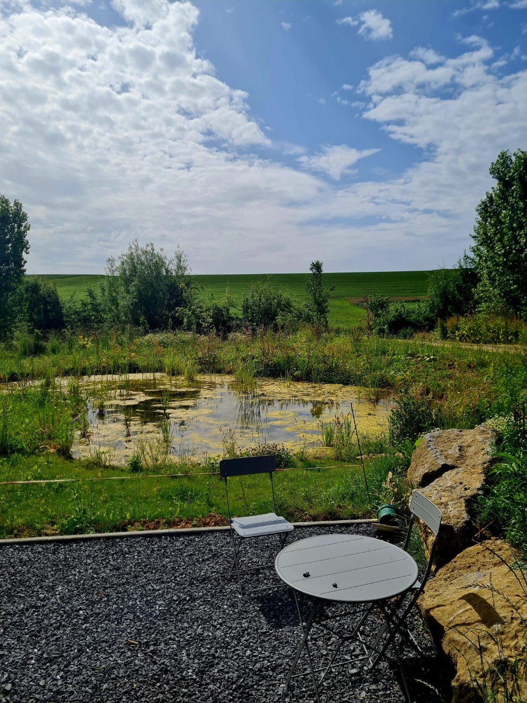 Balade nature et observation des oiseaux
