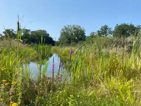 João's Garden · Champ de biodiversité