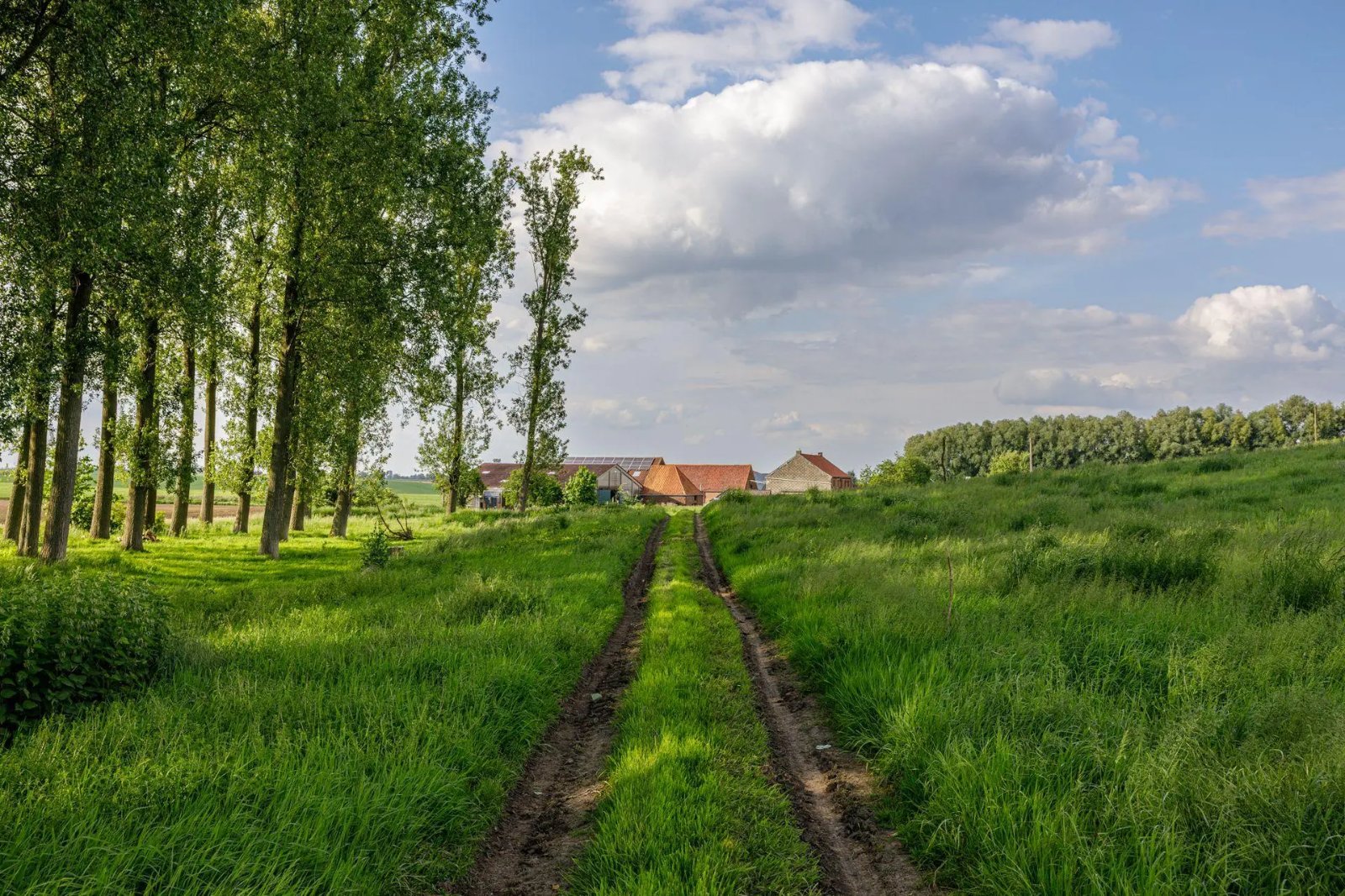 Ferme collective